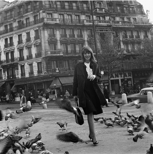 37_Francoise_Hardy_et_les_pigeons_Paris_1962_50x50