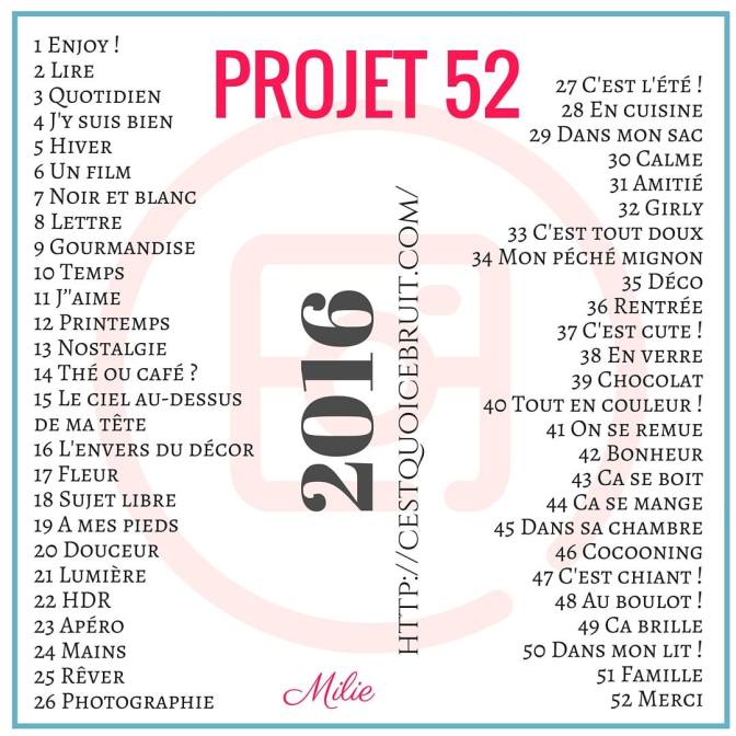 Projet 52 2016